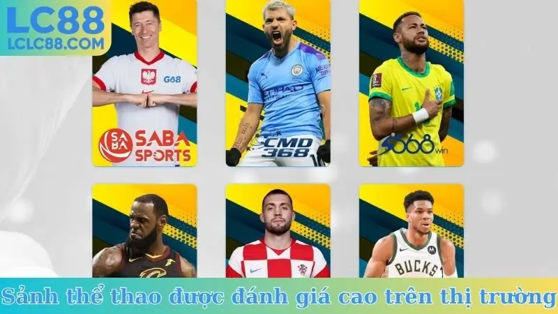 Sảnh thể thao được đánh giá cao trên thị trường